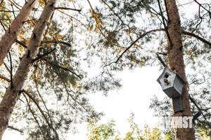 Дом 72м², 1-этажный, посуточно,