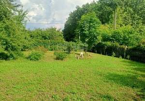 Дом 138м², 2-этажный, участок 12 сот.