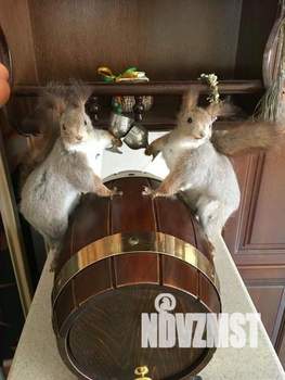 1-к квартира, посуточно, 93м2, 1/1 этаж