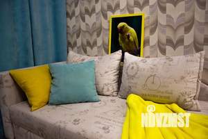 1-к квартира, посуточно, 45м2, 7/16 этаж