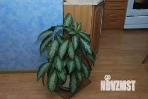 1-к квартира, посуточно, 38м2, 3/4 этаж