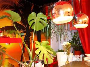 Студия квартира, посуточно, 38м2, 1/4 этаж